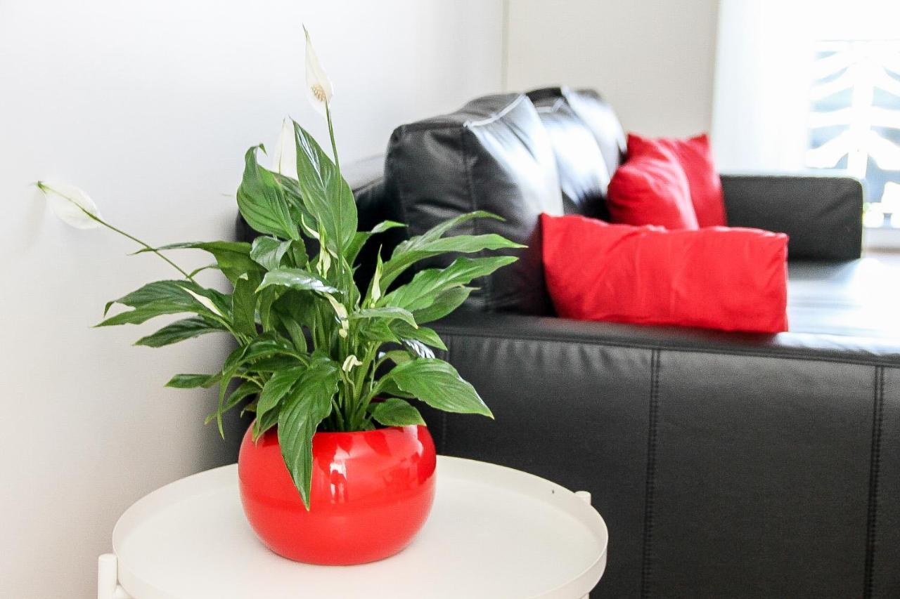 Apartamento Grand T1 Moderne Jardin Pres De Cdg Le Thillay Exterior foto